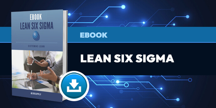Ebook - Lean Six Sigma