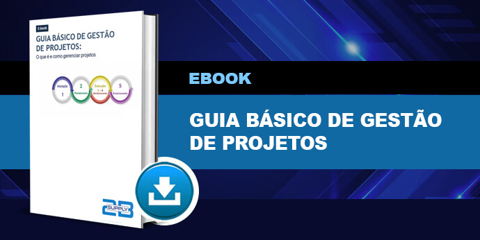 Guia Básico de gestão de projetos: O que é e como gerenciar projetos